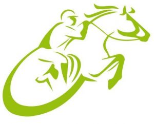 Logo Springreiten Handicap