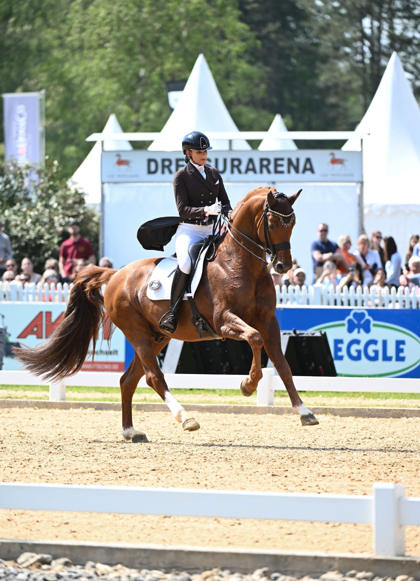 reichert_springbank-ii-vh_12hubert-fischer
