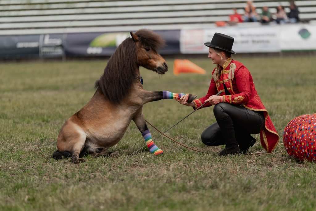 Tickets ab 1. Dezember für Pferd International München –  Wo Leidenschaft auf Tradition trifft