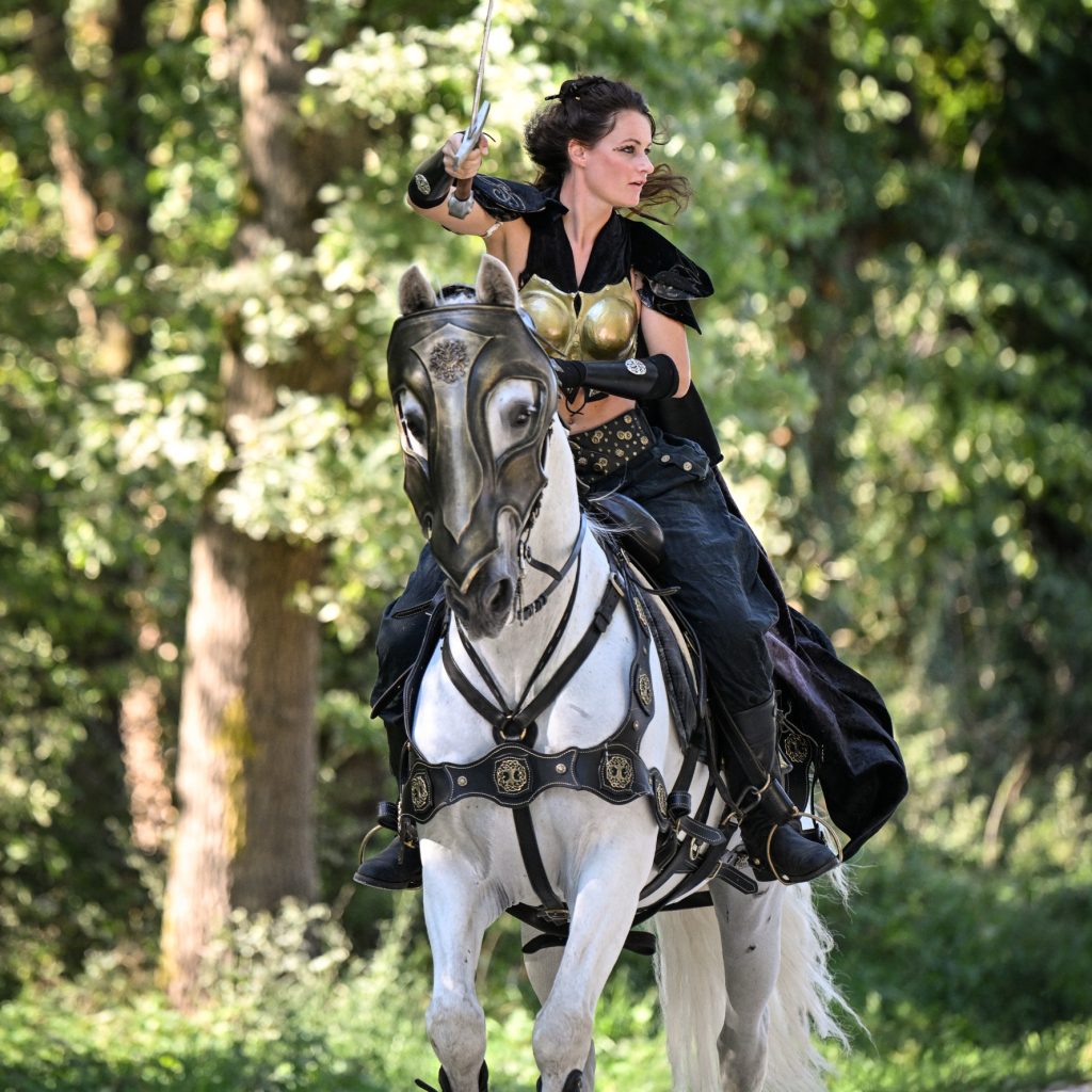 Von OSTWIND live zu PFERD INTERNATIONAL MÜNCHEN: Das Ritterturnier – Kaiser feiert spektakuläre Premiere und ist absolutes Highlight im Schauprogramm!