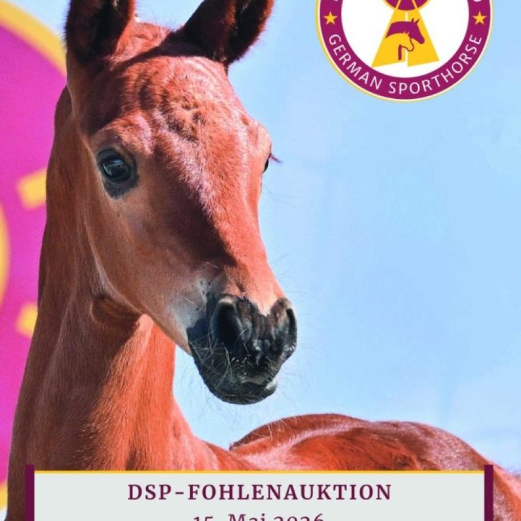 Auftakt in München: DSP startet in den Fohlenauktionssommer