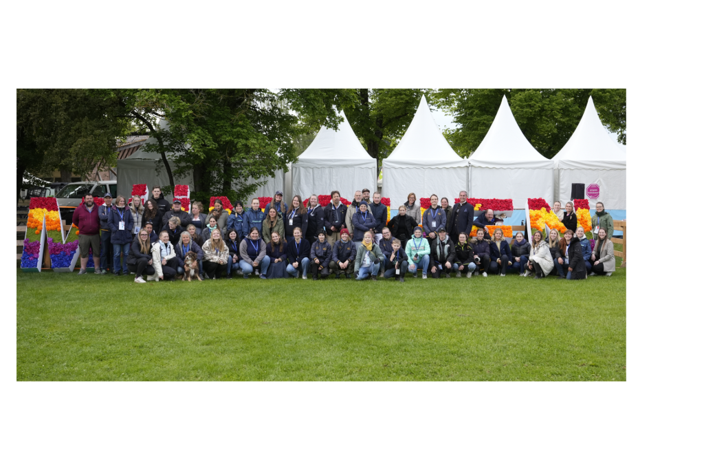 design-ohne-titel